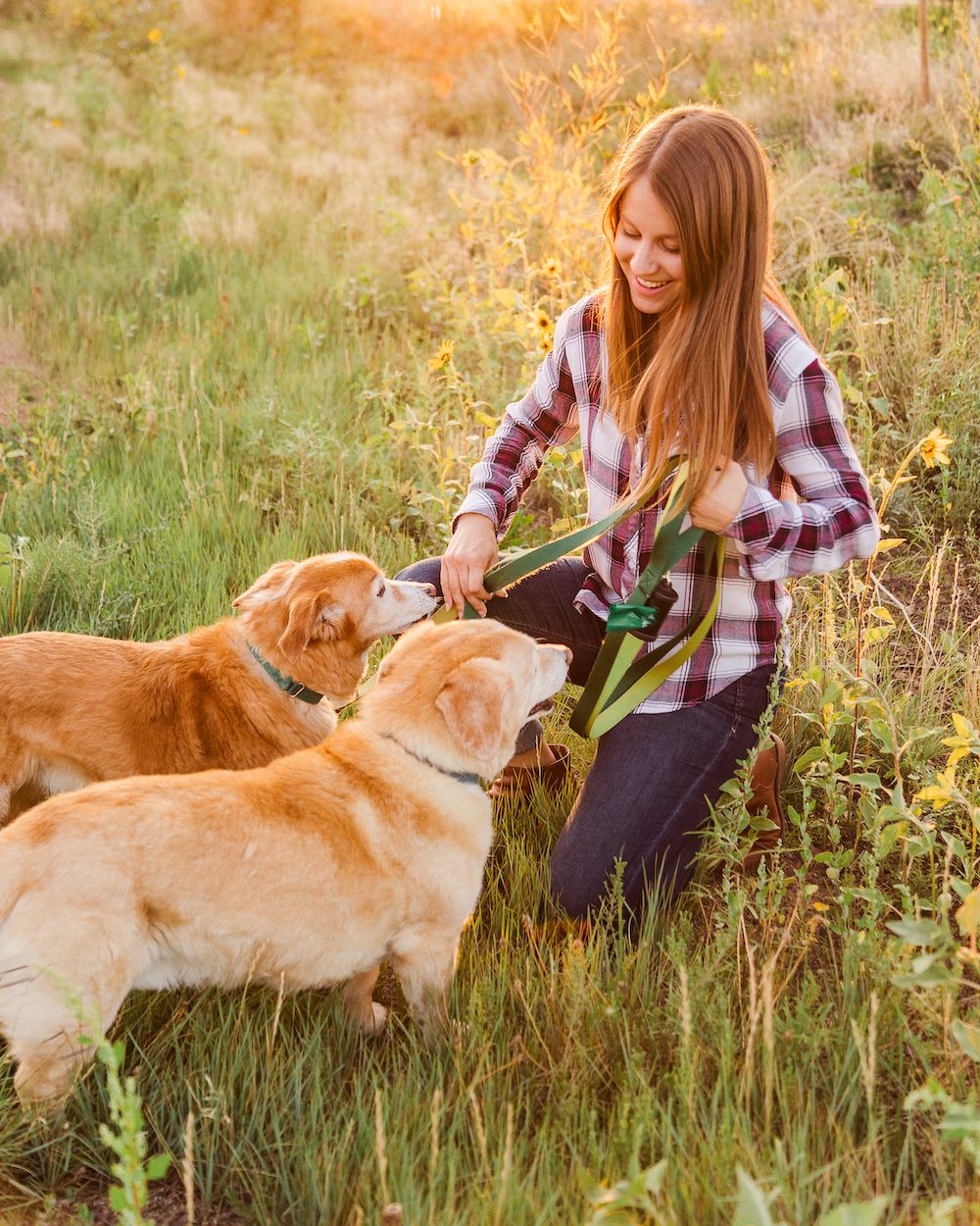 Dog Person